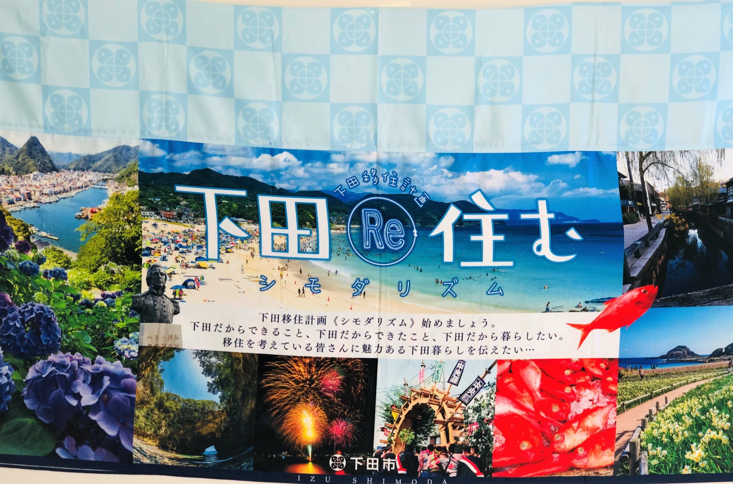 下田市移住・定住サポーターブログ始めます☺